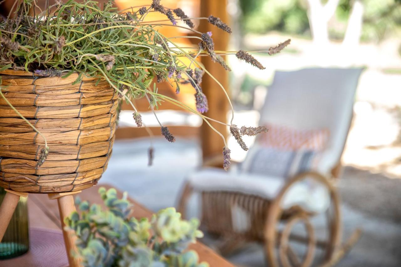 Sardinia Re - Casa Luisa With Pool Apartment อาลเกโร ภายนอก รูปภาพ